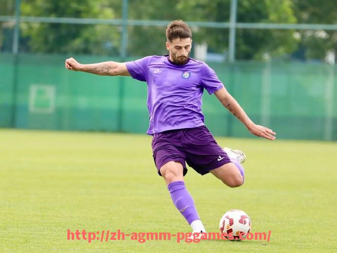 pg电子在线下载-世俱杯比赛场馆分布及其对赛事举办的支撑作用